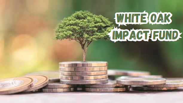 https://uktimepost.com/how-to-apply-for-the-white-oak-impact-fund/