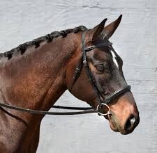 Bobby Does Tack: A Step-by-Step Guide