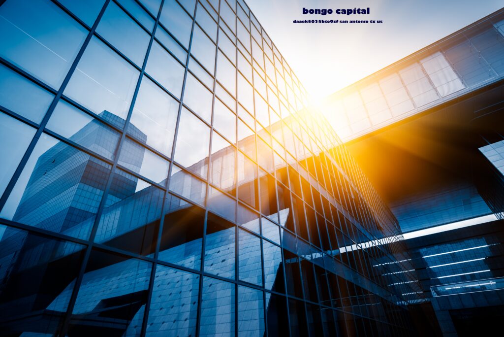 Bongo Capital: A Comprehensive Overview